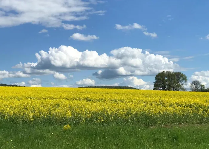 Unter Linden 아파트